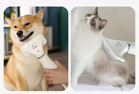 Secador Peine para Mascotas 2 en 1